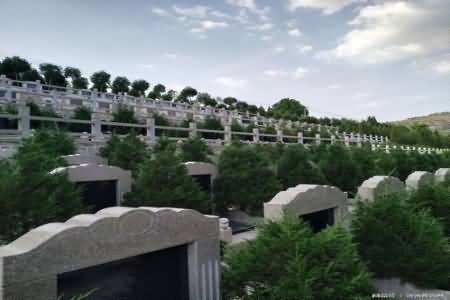 吸纳西方丧葬文化的合理内核—人文价值，环境价值