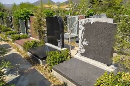陵墓环境鼎盛于明清