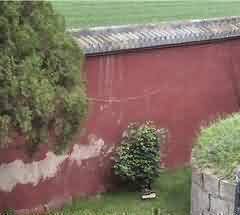 社会习俗的影响