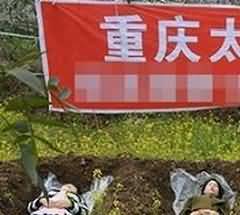 维吾尔族诞生礼与诺鲁孜节中的文化生态