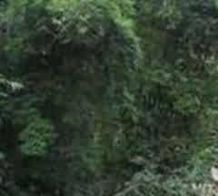 维吾尔族成人礼与巴拉提节中的文化生态