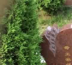 运用“过渡仪式”理论及其衍生理论研究汉族丧葬仪式