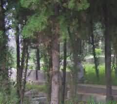 诵经、滴水
