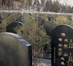 身体参与中的动作狂欢