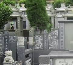 身体参与中的情爱狂欢
