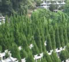 乐都武当山附近的庙会活动