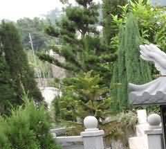 短衣壮丧葬习俗的民族特色