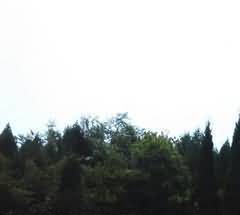 采集狩猎生产方式的结构与特点