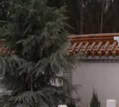儒释道影响下的传统殡葬文化