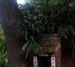 对传统的继承