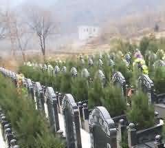 公墓相关概念