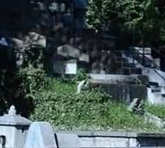 社会教化的需要
