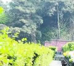 因地制宜，尊重区域文化