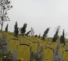 丧葬习俗的萌芽