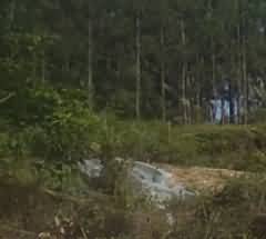 丧葬文化里的生死观