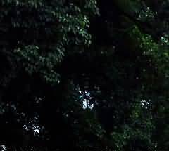 人性化原则