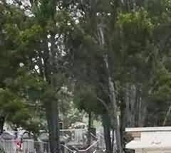 墓地使用权在未来未来民法典中的定位