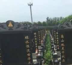 埋葬方式的变迁