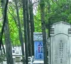 殡葬改革不断深入