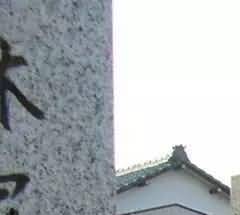 河南农村殡葬改革工作要与时俱进，迈上新台阶