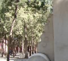 丧礼仪式的变迁