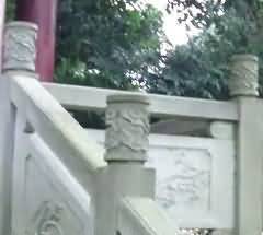我国现代墓园中植物配置