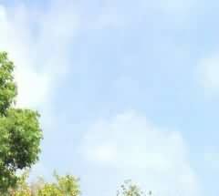 公墓的定义及分类