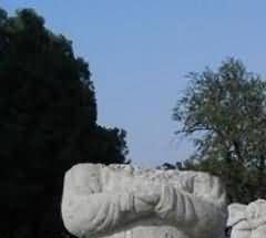液态氮葬