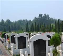 模型构建的理论依据