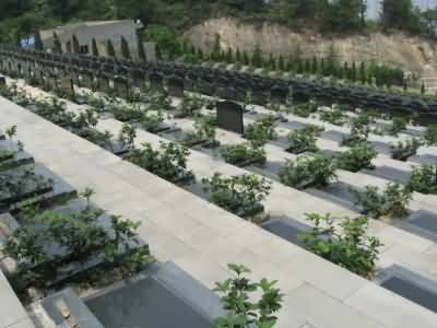 建立经营性墓地使用权的登记公示制度