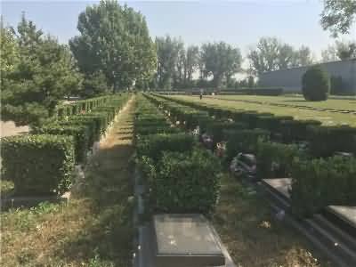 城乡殡葬改革一刀切