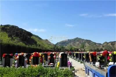 部分公益性公墓建设及管理水平较低