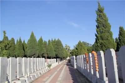 韩国墓地使用权的梳理