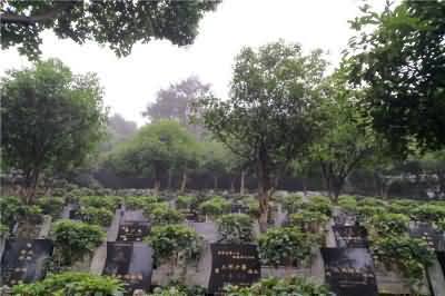 世俗与神圣一一丧葬文化功能分析