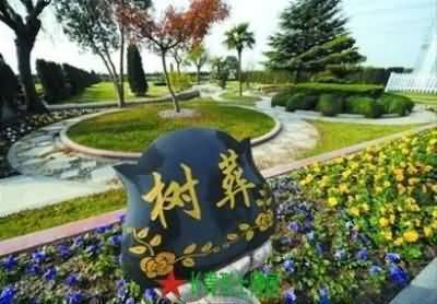 在低碳经济背景下全面推行低碳葬式及其对策研究