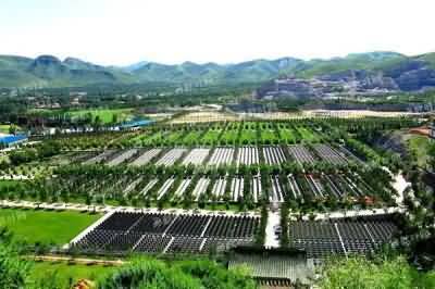 墓地使用权作为特许用益物权的法学依据