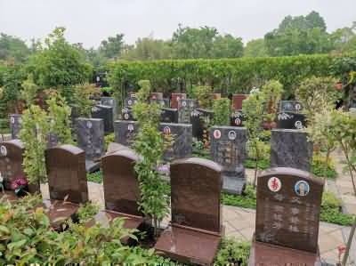 进一步加强殡葬体制的研究和探索，建设适应变革，充满活力的组织架构