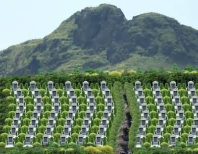 甘肃各地穆斯林丧葬习俗的差异