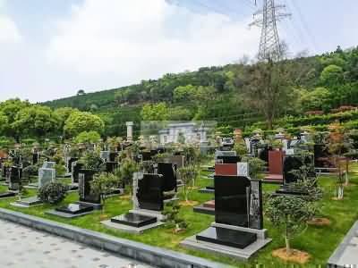 灵魂观