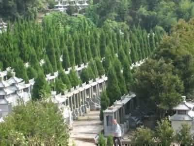 北朝各式葬俗相关研究