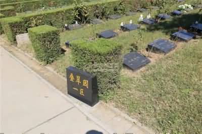 丧葬用木的敬林观