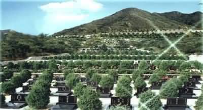 与福清市推行生命公园的异同分析