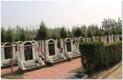绿色殡葬敬畏生命的环境道德态度