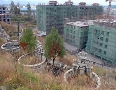 墓园植物景观规划的建议