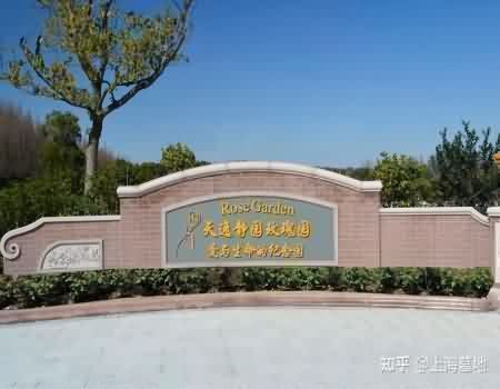 当前的殡葬服务市场监管机制