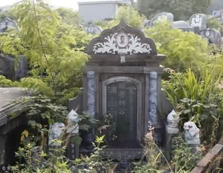 树葬