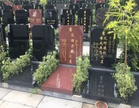 农村公益性墓地选址多元诉求调查