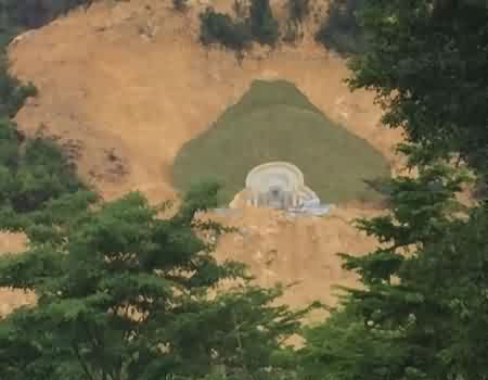 持续推进移风易俗倡树文明殡葬新风