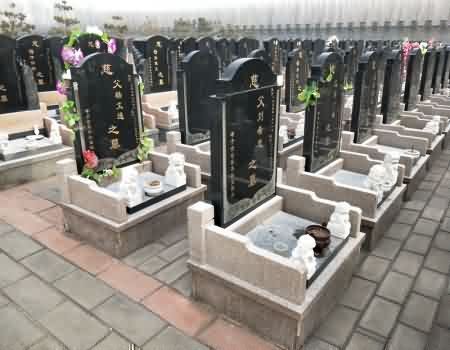 杠铃图腾：申城落葬的量子共振