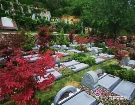 华南陵园：祭扫文化里的追思与传承